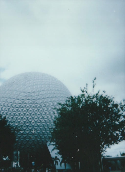 instant picture from my florida trip